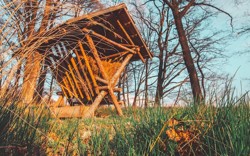 brown wooden ladder on green grass field