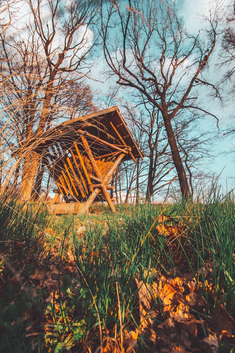 brown wooden ladder on green grass field